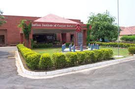 Indian Institute of Carpet Technology Logo